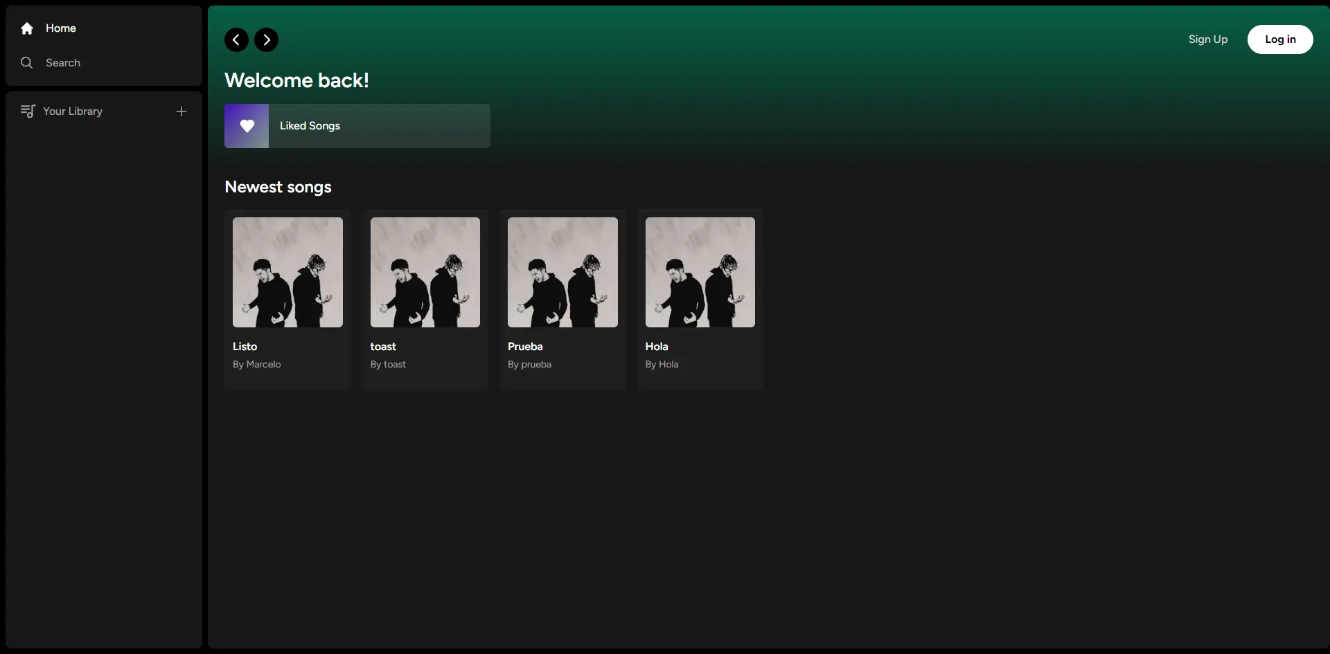spotify image